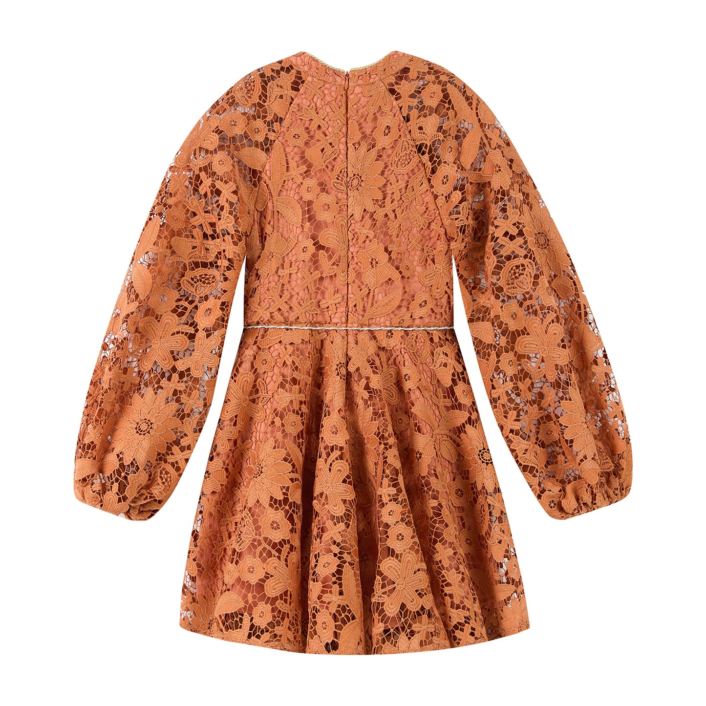Esme Embroidered Sleeve Mini Dress