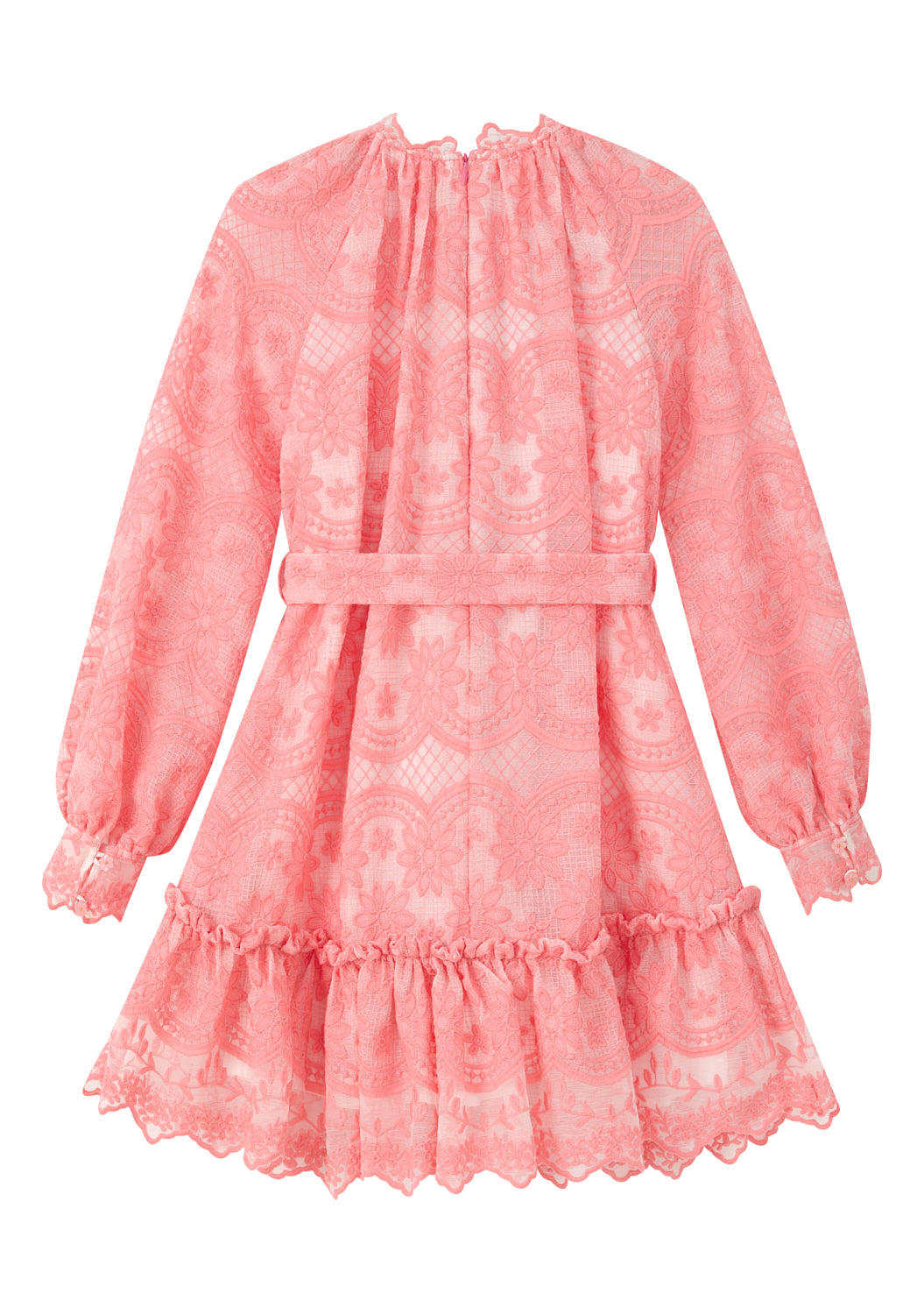 Kaia Lace Embroidered Mini Dress